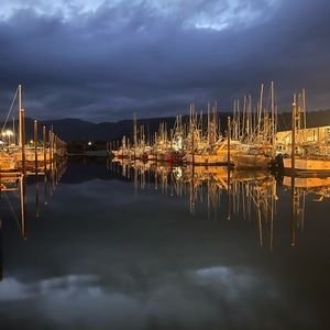 Meet your Posher, Harper and Mommy